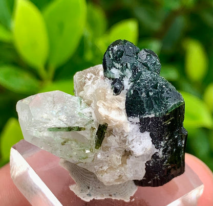 Natural Bluecap Tourmaline Bunches of Crystal with Quartz Terminated Crystal, Lepidolite and Mica Matrix