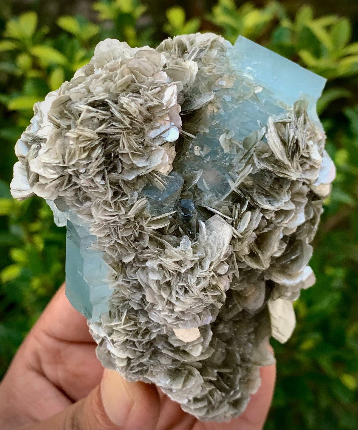 342 Grams Natural Blue Aquamarine Terminated Crystal Specimen on Muscovite Mica Matrix From Pakistan