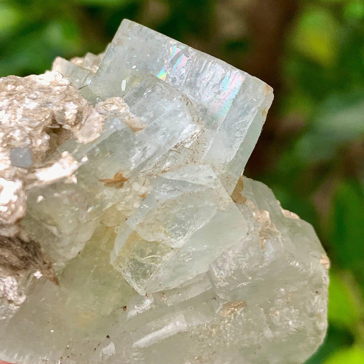 50 Grams Natural Blue Aquamarine Terminated Bunches of Crystal with Muscovite Mica from Pakistan
