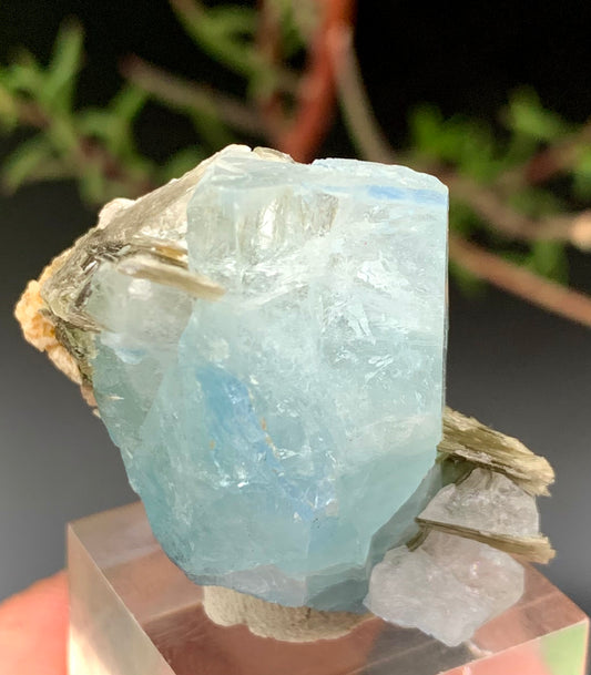 24 Grams Natural Blue Aquamarine Terminated Crystal with Muscovite Mica Matrix From Pakistan