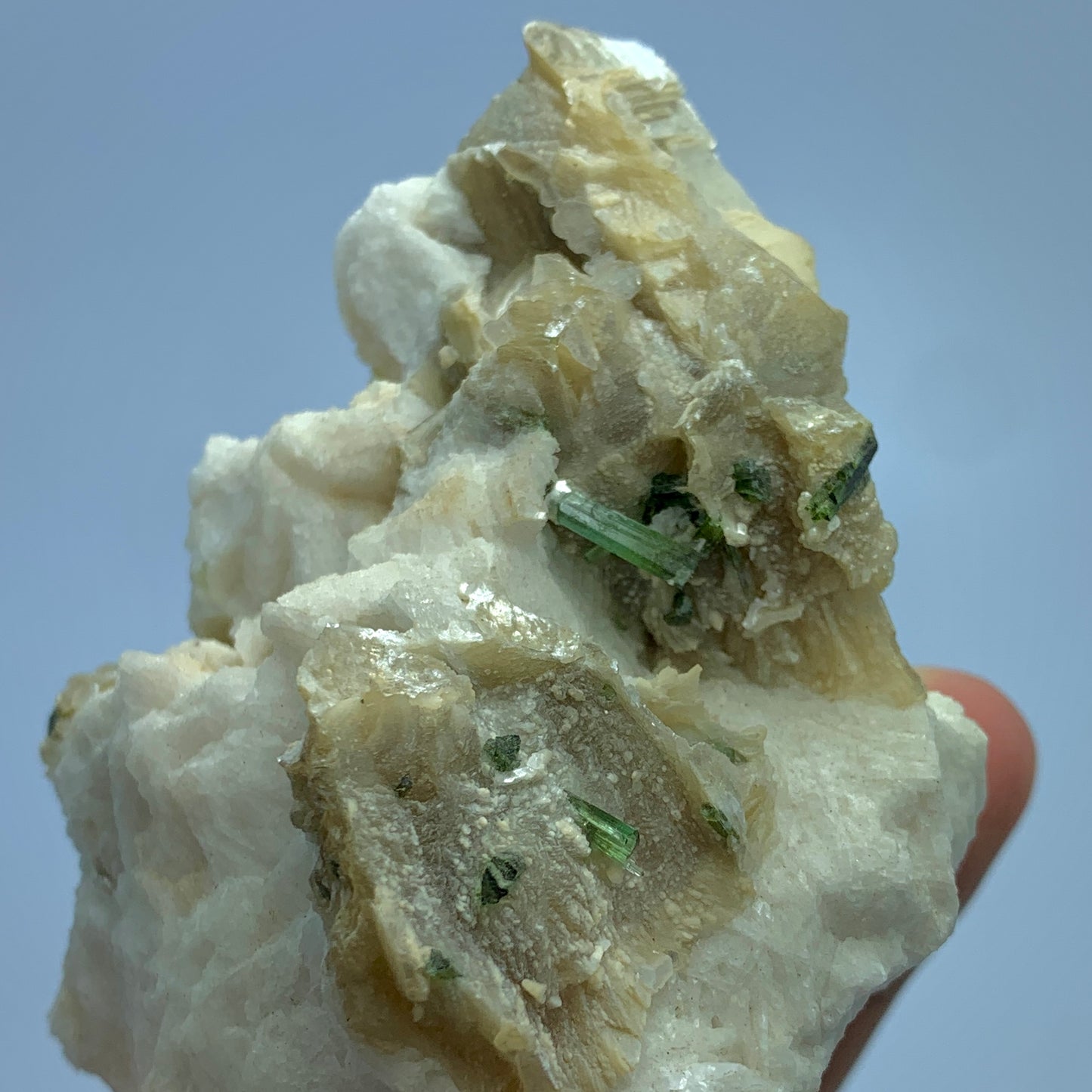 Tourmaline Crystal on Matrix - Afghanistan