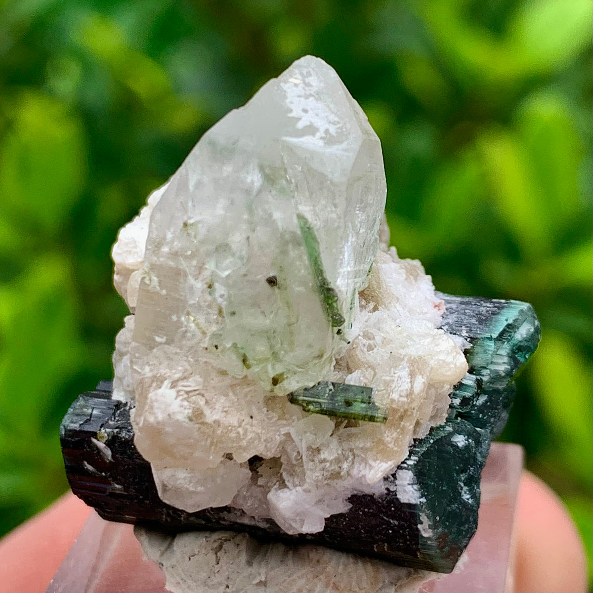 Natural Bluecap Tourmaline Bunches of Crystal with Quartz Terminated Crystal, Lepidolite and Mica Matrix