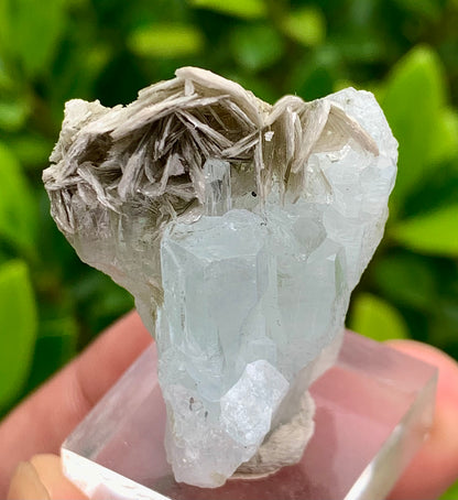 20 Grams Natural Blue Aquamarine Terminated Crystal Specimen on Muscovite Mica Matrix From Pakistan