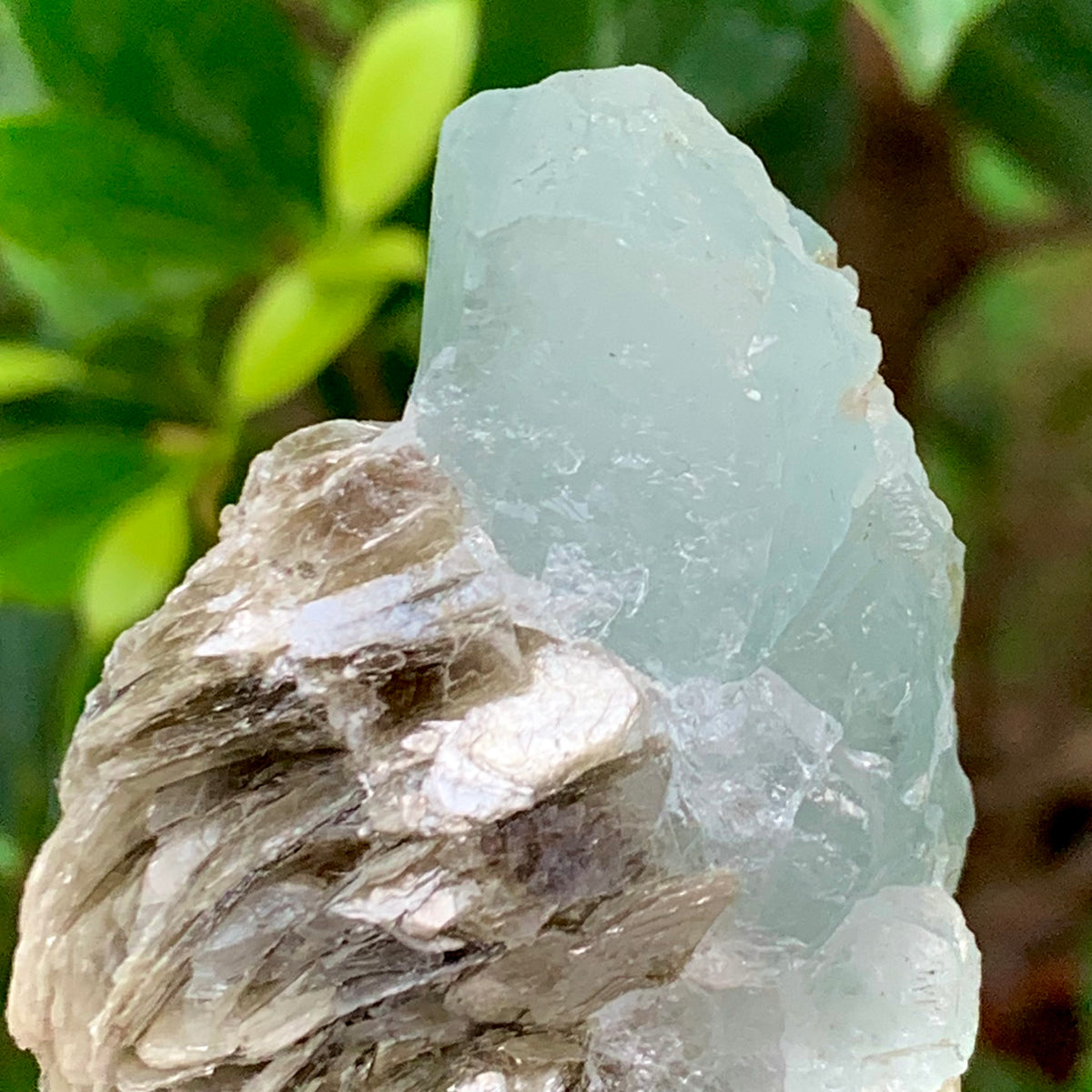 46 Grams Natural Etched Aquamarine Crystal on Muscovite Mica Matrix from Pakistan