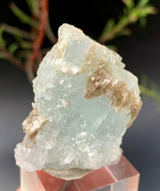 36g Natural Etched Aquamarine Crystal on Muscovite Mica Matrix from Pakistan