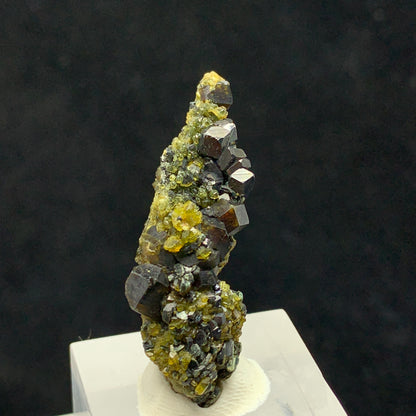 Andradite Garnet, Vesuvianite, Magnetite, 63 Carat, Skardu Pakistan, Mineral Association, Garnet Crystal, Idocrase, Collector Specimen, Pakistan Mineral