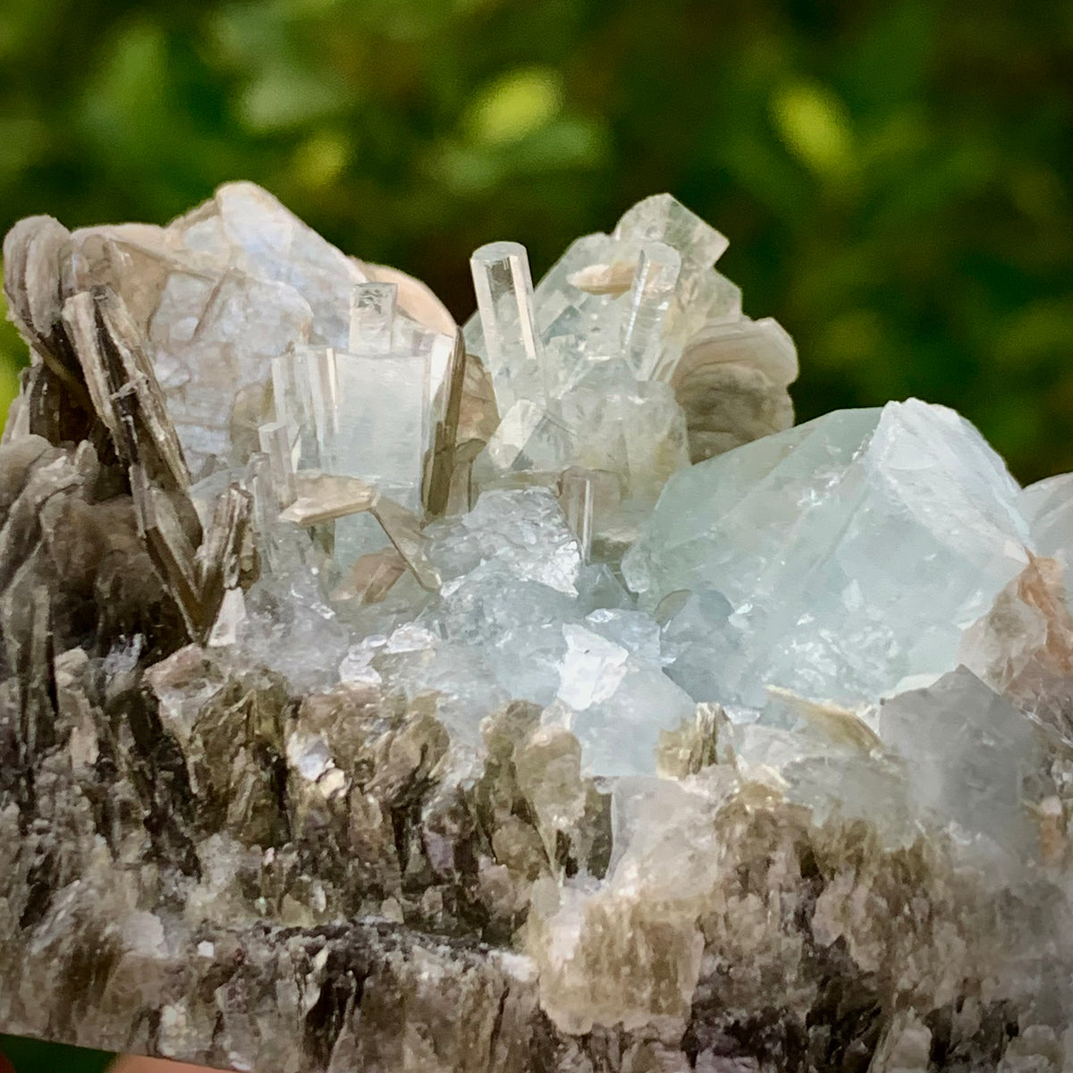 126 Grams Natural Blue Aquamarine Terminated Crystal Specimen on Muscovite Mica Matrix From Pakistan