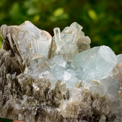 126 Grams Natural Blue Aquamarine Terminated Crystal Specimen on Muscovite Mica Matrix From Pakistan