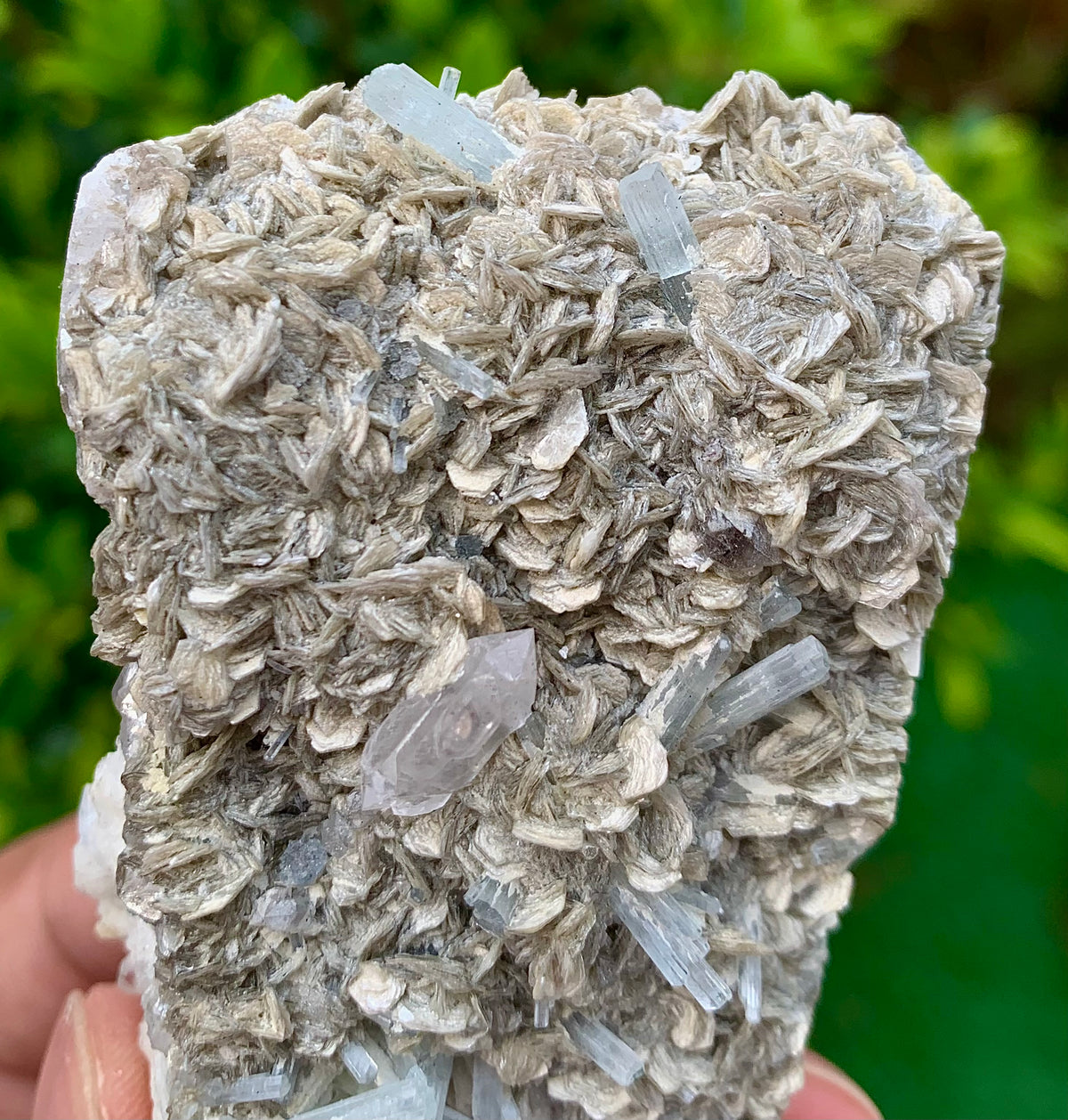 116 Grams Natural Aquamarine Terminated Cluster of Crystal with Gwindel Quartz Crystal on Muscovite Mica Matrix From Pakistan