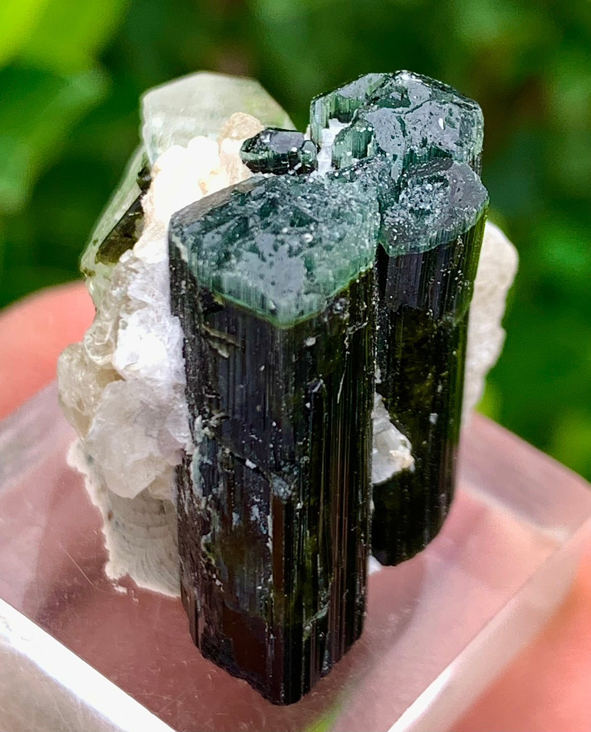 Natural Bluecap Tourmaline Bunches of Crystal with Quartz Terminated Crystal, Lepidolite and Mica Matrix