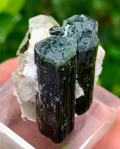 Natural Bluecap Tourmaline Bunches of Crystal with Quartz Terminated Crystal, Lepidolite and Mica Matrix