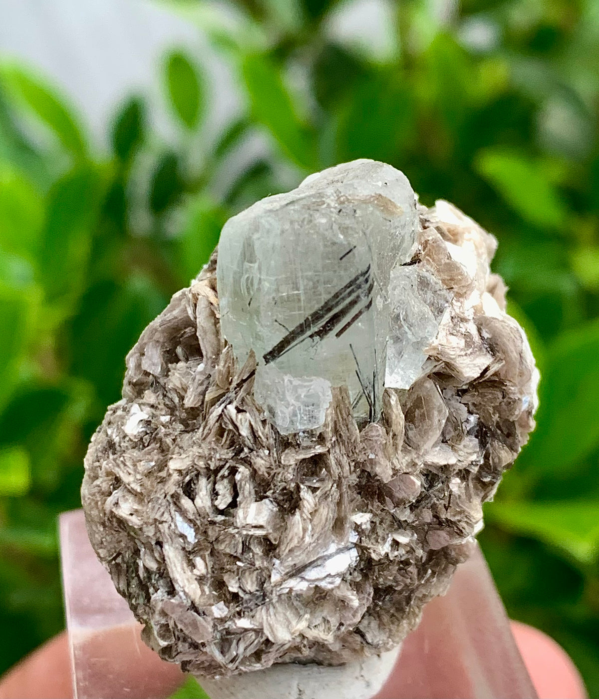32 Grams natural blue Aquamarine crystal Black Tourmaline needle in aquamarine crystal on Muscovite Mica matrix from Pakistan