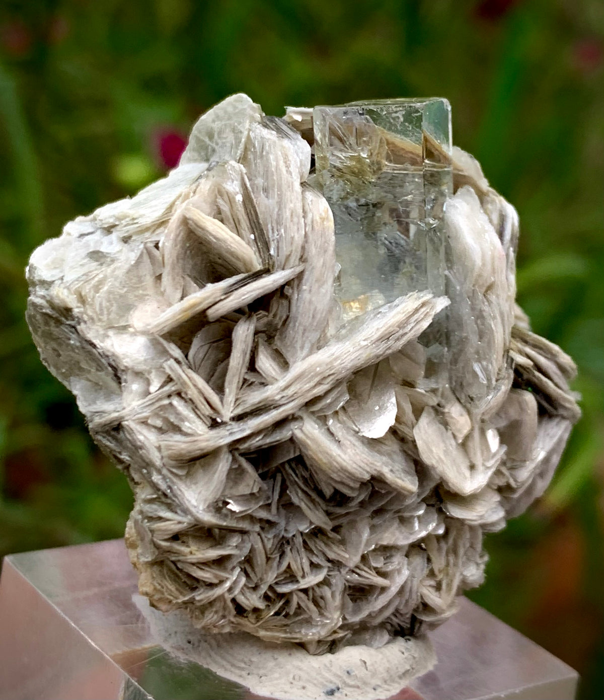 21g Natural Blue Aquamarine Crystal on Muscovite Mica Matrix from Pakistan