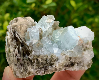126 Grams Natural Blue Aquamarine Terminated Crystal Specimen on Muscovite Mica Matrix From Pakistan