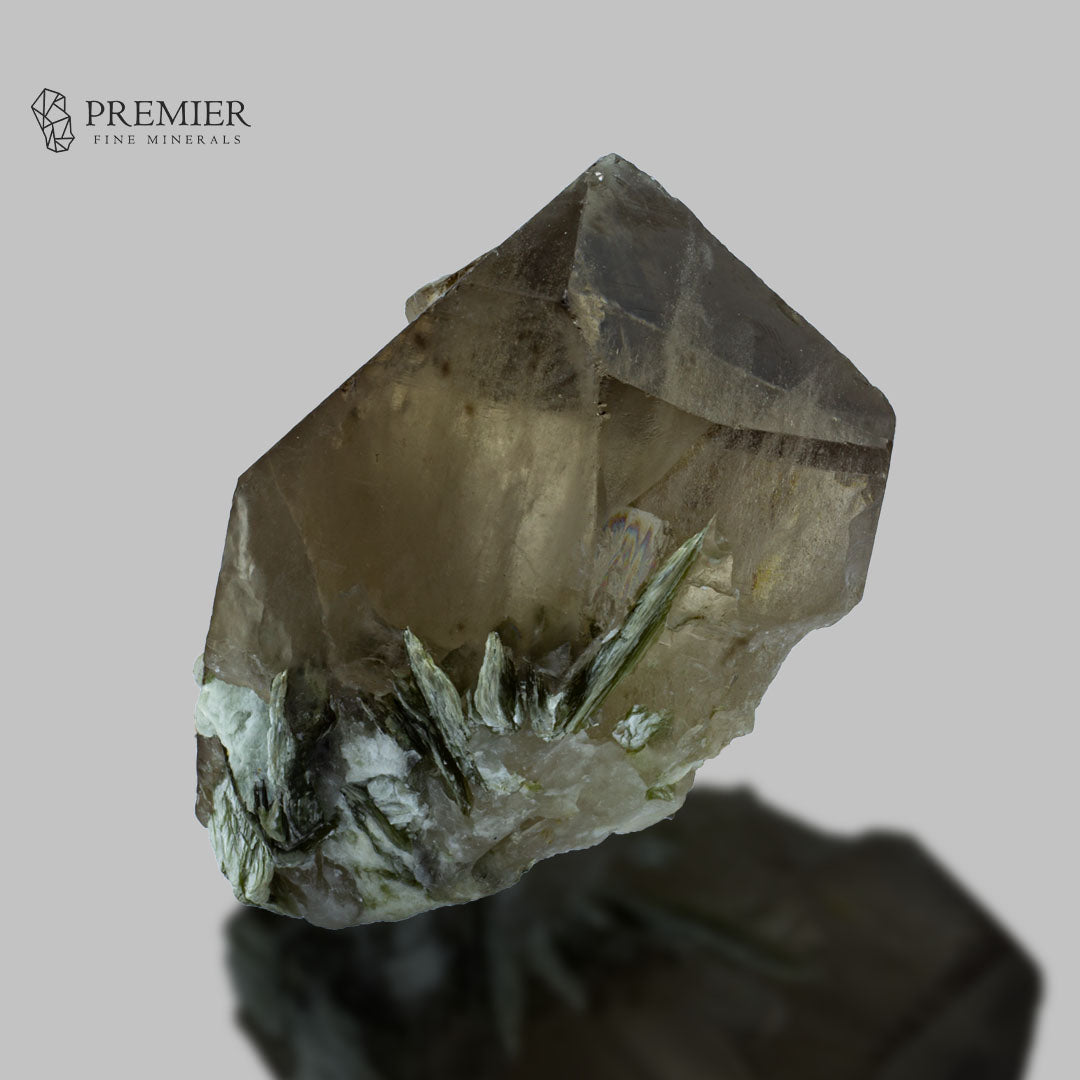 Smoky Quartz Terminated Crystal with Muscovite Mica – Pakistan