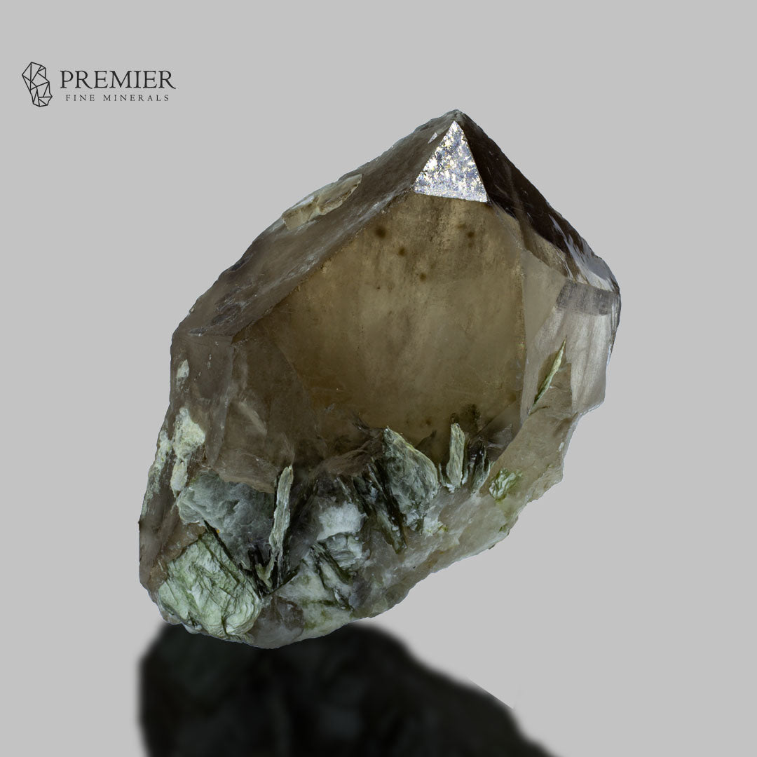 Smoky Quartz Terminated Crystal with Muscovite Mica – Pakistan