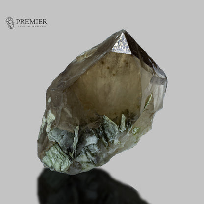Smoky Quartz Terminated Crystal with Muscovite Mica – Pakistan