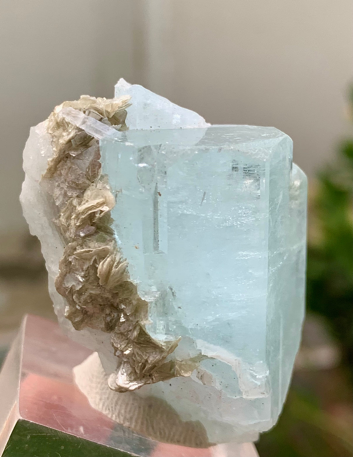47 Grams Natural Aquamarine Terminated Blue Crystal with Muscovite Mica Matrix from Gilgit Pakistan