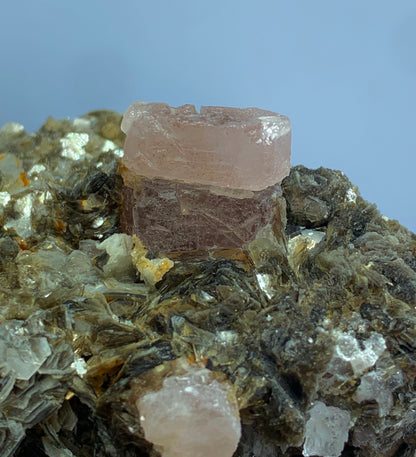 Pink Apatite, Muscovite Mica, Apatite on Matrix, 190g Mineral, Pakistan Crystal, Rare Specimen, Collector's Crystal, Raw Apatite, Mineral Association, Display Mineral