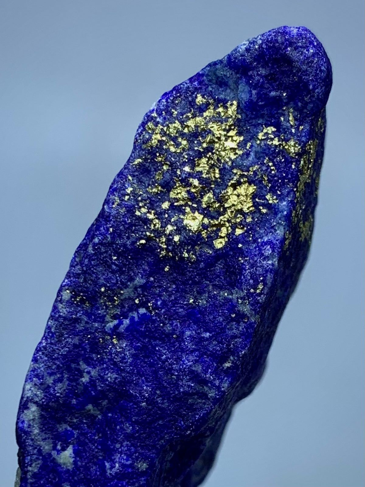 A raw lapis lazuli crystal specimen with brilliant deep blue coloration and prominent metallic gold pyrite inclusions, shown against a neutral light gray background.