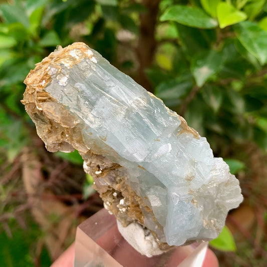 Natural Aquamarine Etched Crystal Specimen on Muscovite Mica Matrix from Pakistan