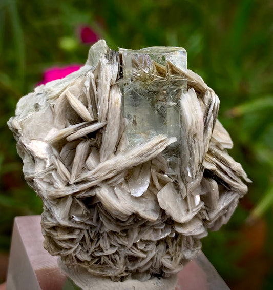 21g Natural Blue Aquamarine Crystal on Muscovite Mica Matrix from Pakistan