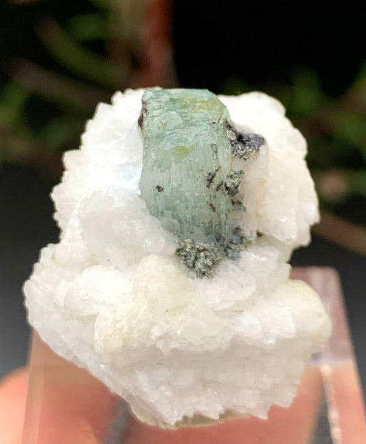 Etched Aquamarine on Feldspar Matrix – Skardu Pakistan