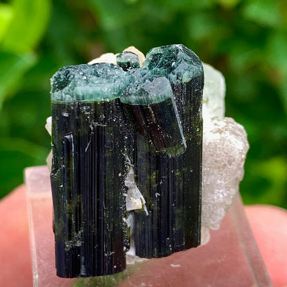 Natural Bluecap Tourmaline Bunches of Crystal with Quartz Terminated Crystal, Lepidolite and Mica Matrix