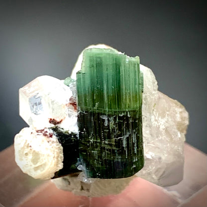 Natural Cat Eye Tourmaline Crystal with Terminated Quartz on Muscovite Mica Matrix – 10 Grams, Afghanistan