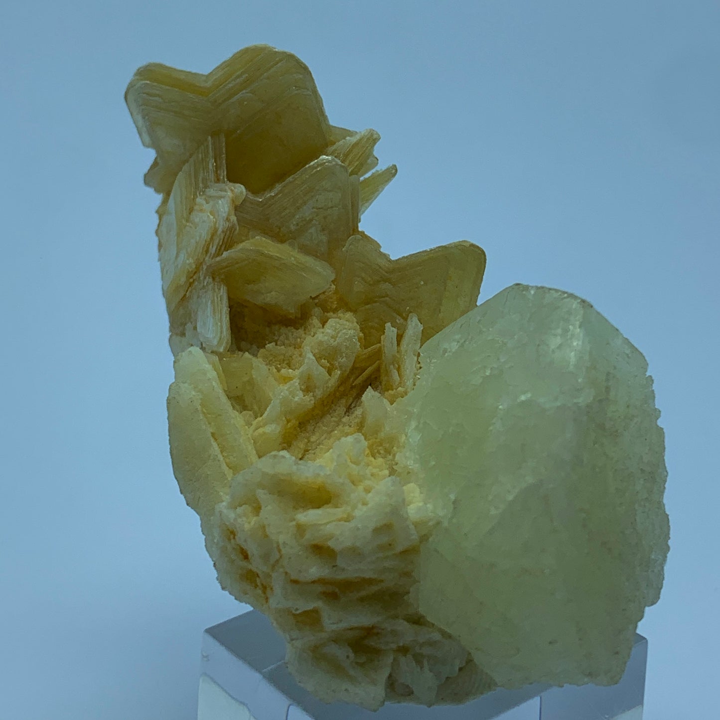 Feldspar Crystal on Star Shaped  Mica - Pakistan