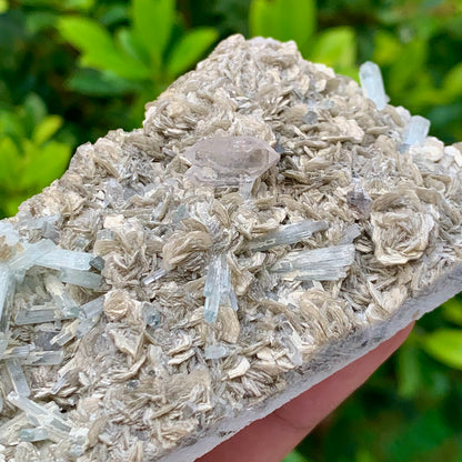 116 Grams Natural Aquamarine Terminated Cluster of Crystal with Gwindel Quartz Crystal on Muscovite Mica Matrix From Pakistan
