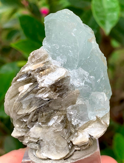 46 Grams Natural Etched Aquamarine Crystal on Muscovite Mica Matrix from Pakistan