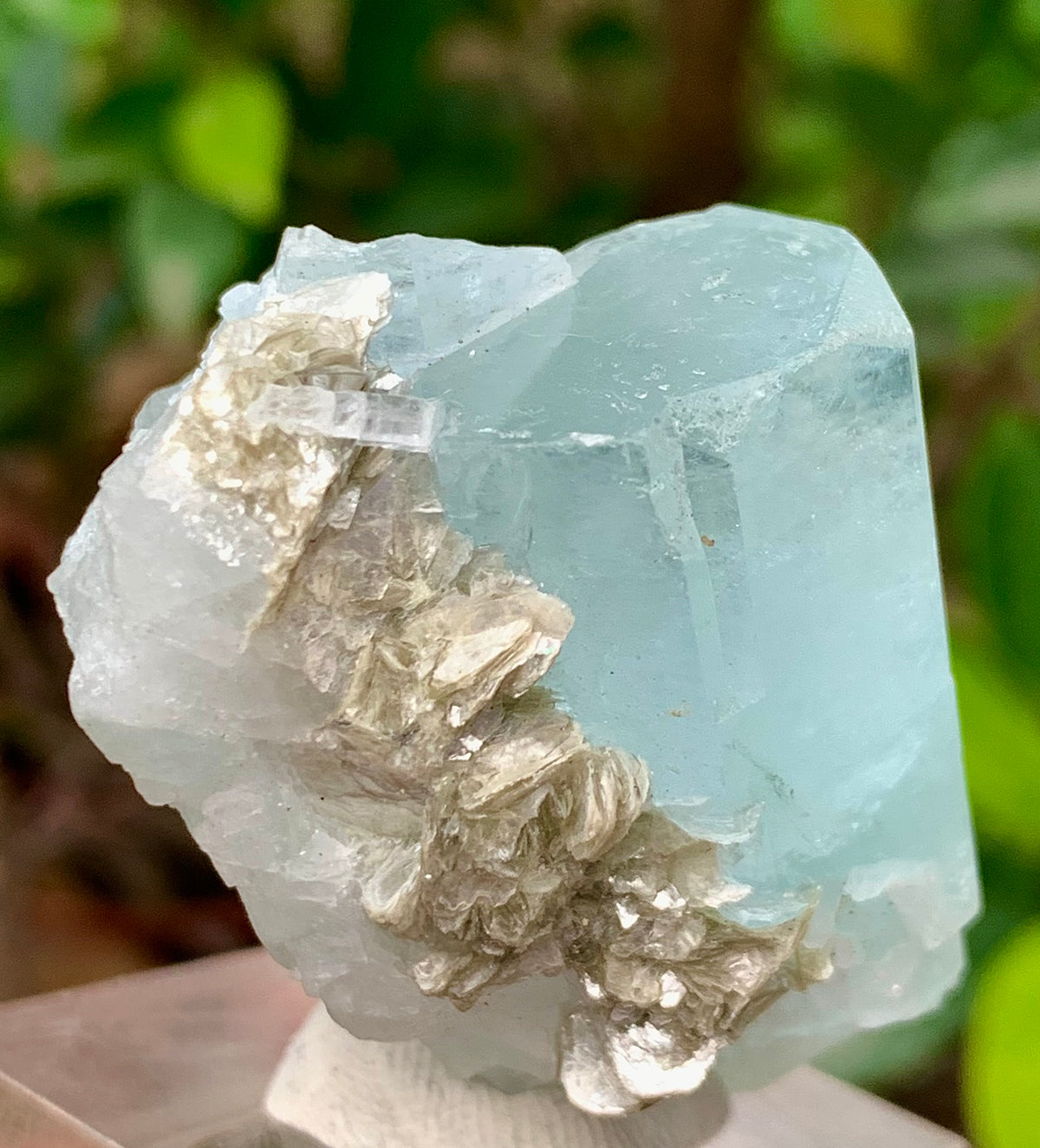 47 Grams Natural Aquamarine Terminated Blue Crystal with Muscovite Mica Matrix from Gilgit Pakistan