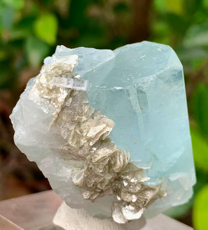 47 Grams Natural Aquamarine Terminated Blue Crystal with Muscovite Mica Matrix from Gilgit Pakistan