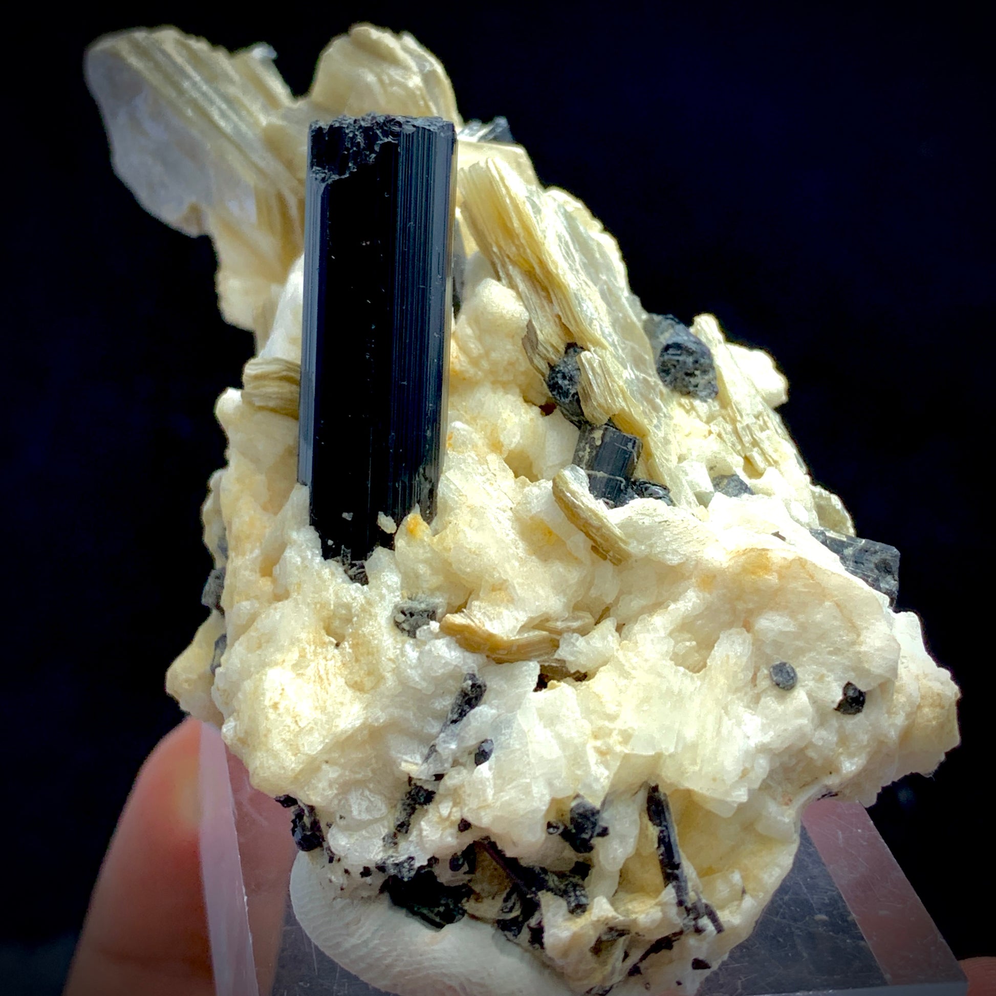 Black Tourmaline Schorl Crystal Cluster on Matrix | Pakistan Mineral Specimen