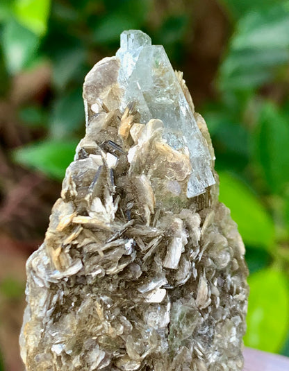 Natural Blue Aquamarine Terminated Crystal on Crystal with Muscovite Mica Matrix from Pakistan