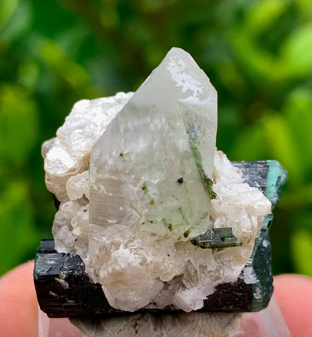 Natural Bluecap Tourmaline Bunches of Crystal with Quartz Terminated Crystal, Lepidolite and Mica Matrix