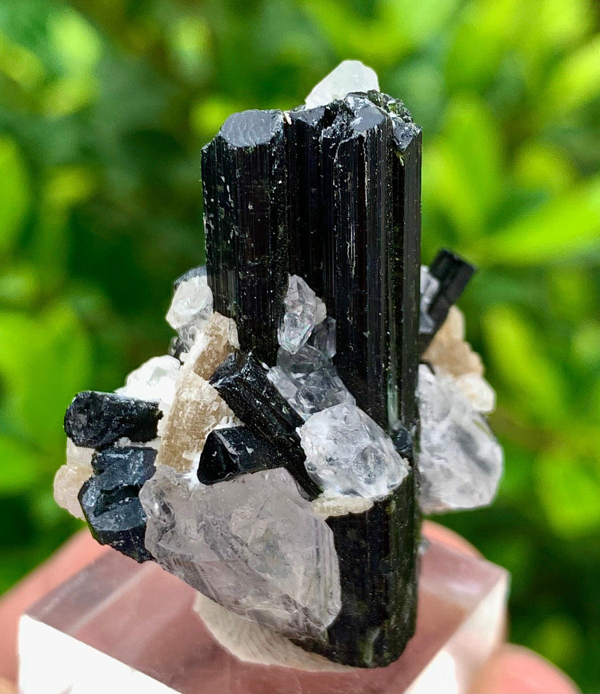 27 Grams Natural Epidote Terminated Cluster of Crystal Black Tourmaline Crystals with Clear Quartz Crystal on Mica Matrix From Afghanistan