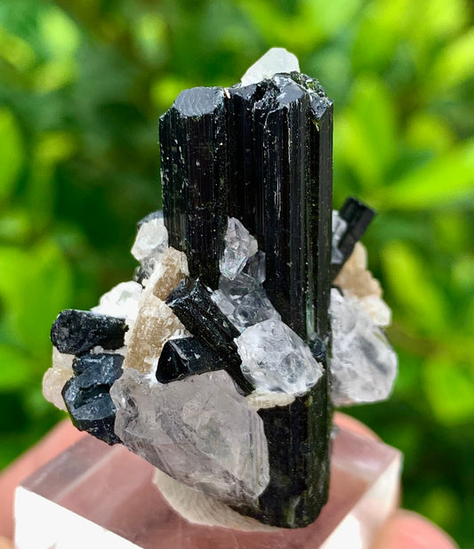 27 Grams Natural Epidote Terminated Cluster of Crystal Black Tourmaline Crystals with Clear Quartz Crystal on Mica Matrix From Afghanistan