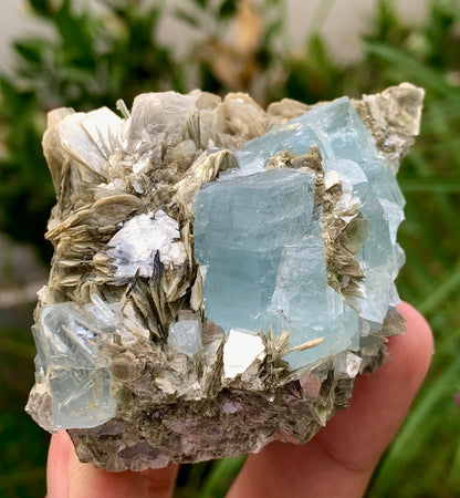 194 Grams Natural Aquamarine Etched Cluster of Crystals on Muscovite Mica Matrix from Shigar Pakistan