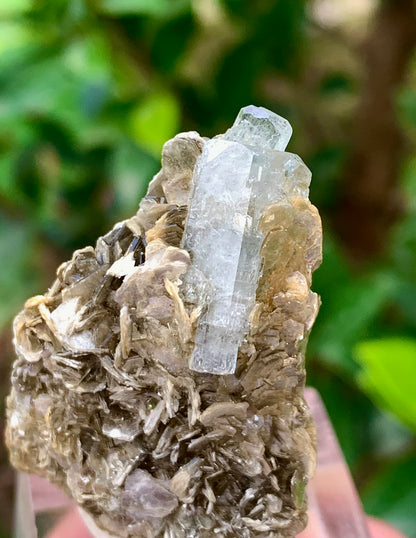 Natural Blue Aquamarine Terminated Crystal on Crystal with Muscovite Mica Matrix from Pakistan