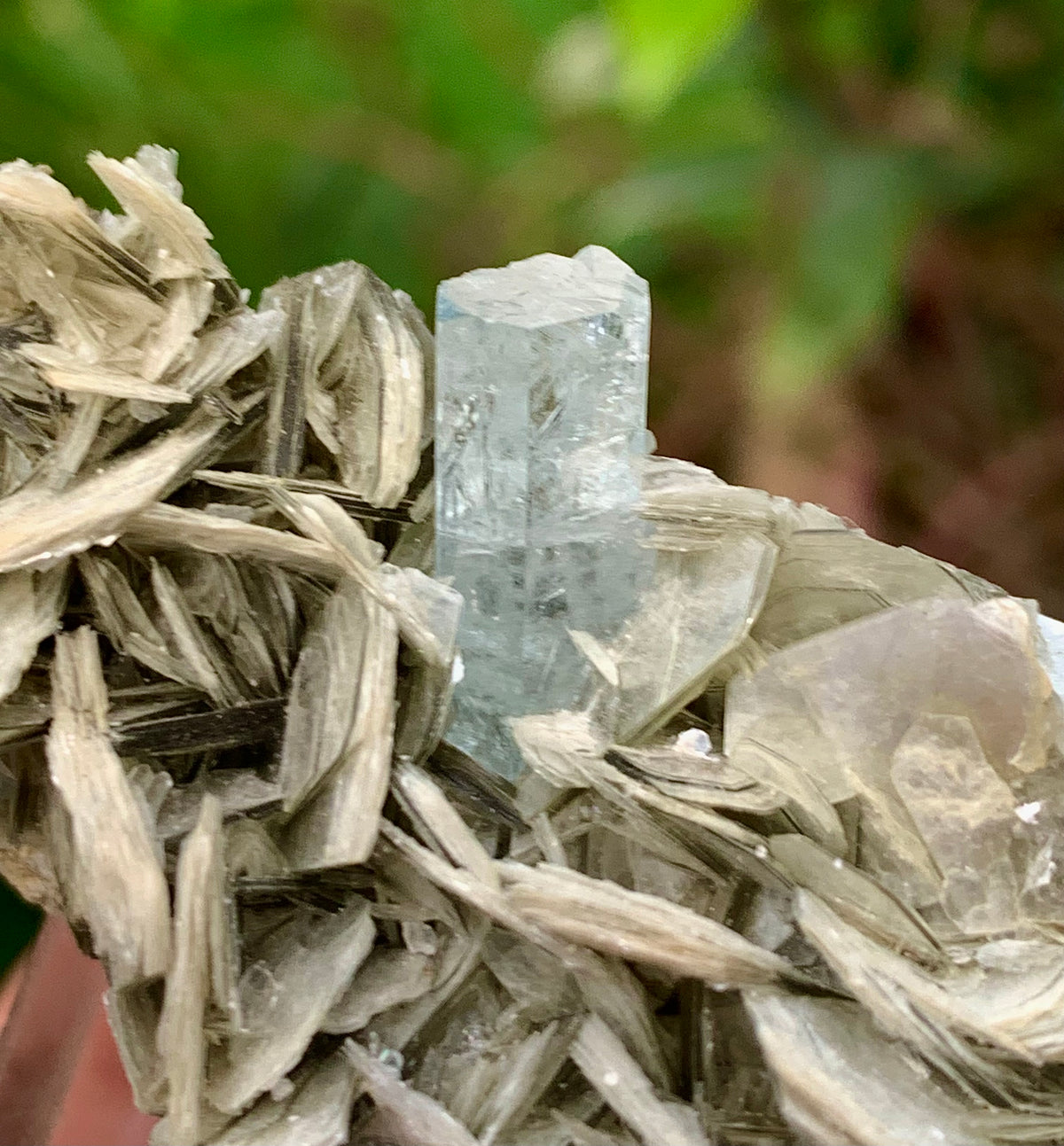 Blue Aquamarine beautiful termination crystal on Muscovite mica from skardu Pakistan Natural crystal specimen