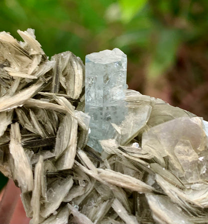 Blue Aquamarine beautiful termination crystal on Muscovite mica from skardu Pakistan Natural crystal specimen