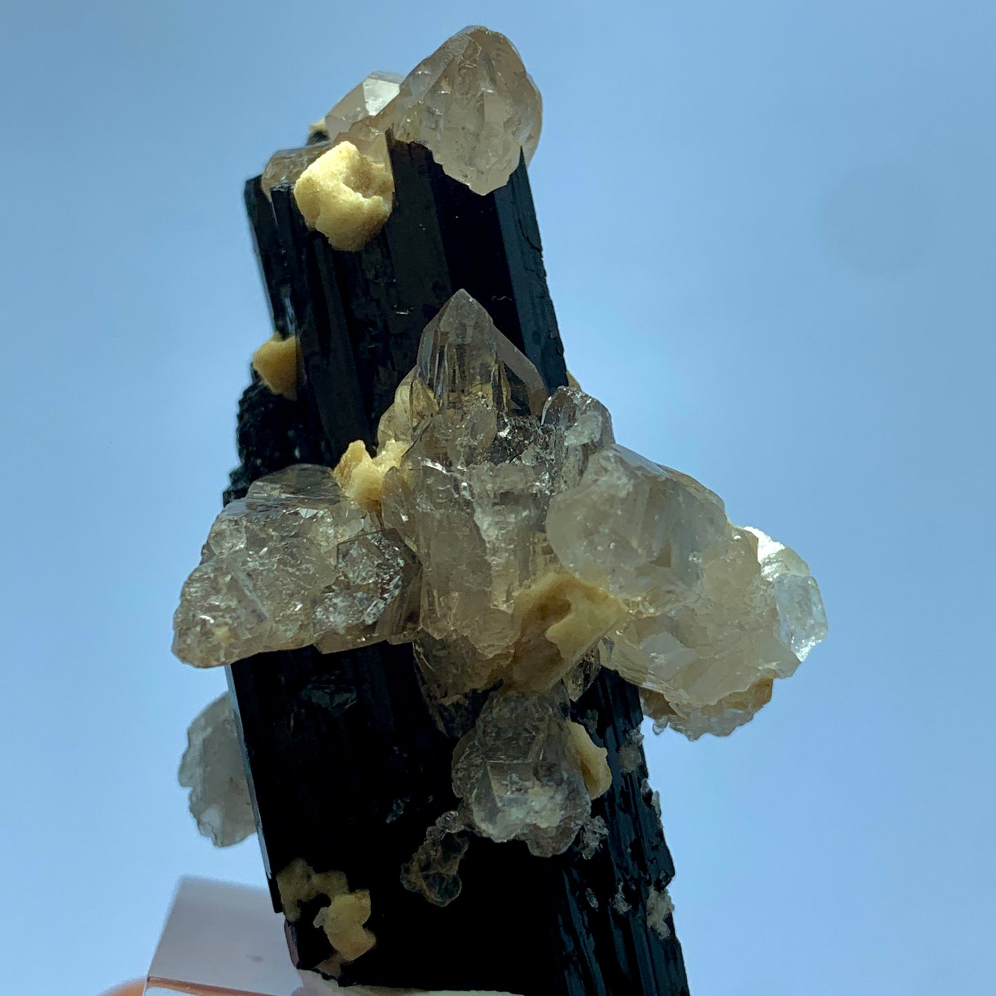 Black Tourmaline on Cathedral Etched Quartz - Afghanistan