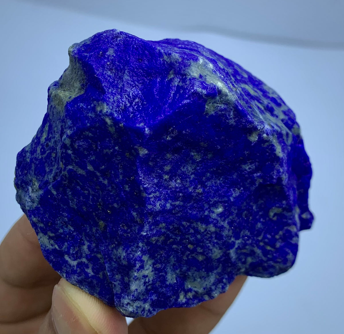 A raw, rough-cut lapis lazuli crystal specimen held in a person's hand against a plain light blue background.