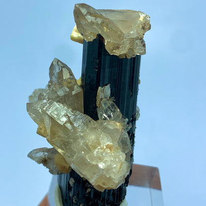 Cathedral Quartz, Black Tourmaline, Muscovite Mica, Tourmaline on Matrix, Etched Quartz, Feldspar Mineral, Afghanistan Specimen, Multi-Mineral, Raw Crystal, Collector Grade