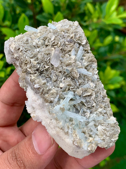 116 Grams Natural Aquamarine Terminated Cluster of Crystal with Gwindel Quartz Crystal on Muscovite Mica Matrix From Pakistan