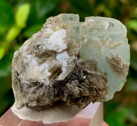 26 Grams Natural Aquamarine Crystal Specimen on Muscovite Mica Matrix from Pakistan