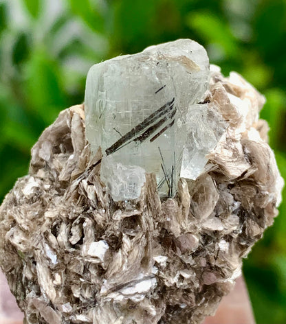 32 Grams natural blue Aquamarine crystal Black Tourmaline needle in aquamarine crystal on Muscovite Mica matrix from Pakistan