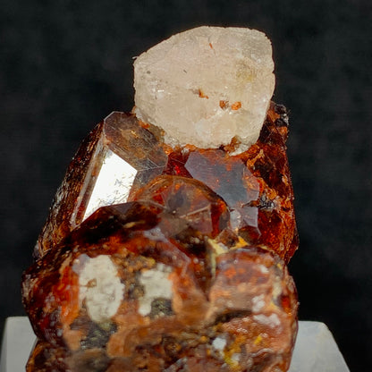 Etched Apatite, Spessartine Garnet, 285 Carats, 57 Grams, Pakistan Mineral, Rare Crystal Habit, Apatite on Garnet, Collector Specimen, Miniature Specimen, Etched Crystal, Mineral Association, Unique Specimen, Crystal Etching
